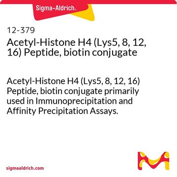 Acetyl-Histone H4 (Lys5, 8, 12, 16) Peptide, biotin conjugate Acetyl-Histone H4 (Lys5, 8, 12, 16) Peptide, biotin conjugate primarily used in Immunoprecipitation and Affinity Precipitation Assays.