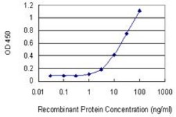Monoclonal Anti-LIMA1, (N-terminal) antibody produced in mouse clone 1B7, purified immunoglobulin, buffered aqueous solution