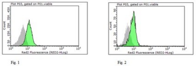 Anti-NLRP10 Antibody, clone 8H2 clone 8H2, from rat