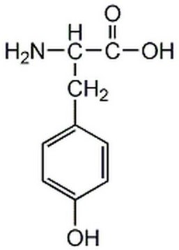 L-Tyrosine, Free Base Non-essential amino acid for human development. Precursor for the synthesis of thyroid hormones and select neurotransmitters, such as dopamine and norepinephrine.