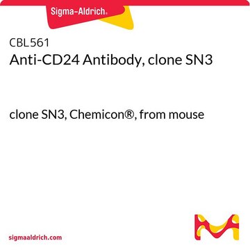 抗-CD24抗体，克隆SN3 clone SN3, Chemicon&#174;, from mouse