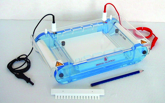 Midi horizontal electrophoresis unit