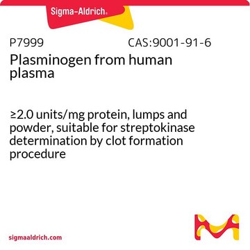 纤溶酶原 来源于人类血浆 &#8805;2.0&#160;units/mg protein, lumps and powder, suitable for streptokinase determination by clot formation procedure