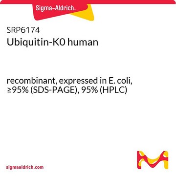 Ubiquitin-K0 human recombinant, expressed in E. coli, &#8805;95% (SDS-PAGE), 95% (HPLC)