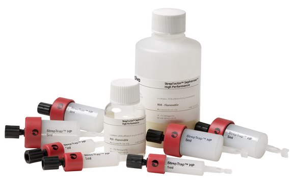 StrepTrap&#8482;&nbsp;High Performance prepacked chromatography column pkg of 1 × 5&#160;mL, prepacked chromatography column