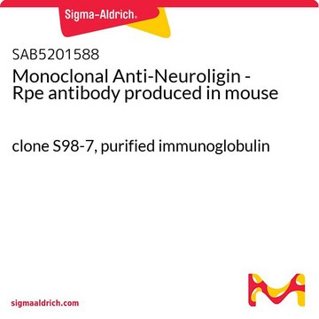 Monoclonal Anti-Neuroligin - Rpe antibody produced in mouse clone S98-7, purified immunoglobulin