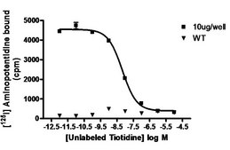 ChemiSCREEN Human H2 Histamine Receptor Membrane Preparation Human H2 GPCR membrane preparation for Radioligand binding Assays &amp; GTPγS binding.