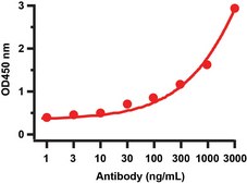 Anti-SARS-CoV-2 (COVID-19) Envelope antibody produced in rabbit affinity isolated antibody