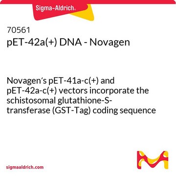 pET-42a(+) DNA - Novagen Novagen&#8242;s pET-41a-c(+) and pET-42a-c(+) vectors incorporate the schistosomal glutathione-S-transferase (GST-Tag) coding sequence as a fusion partner.