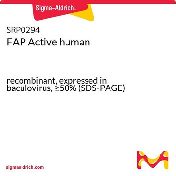 FAP Active human recombinant, expressed in baculovirus, &#8805;50% (SDS-PAGE)