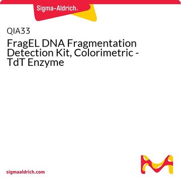 FragEL DNA片段检测试剂盒，比色法-TdT酶