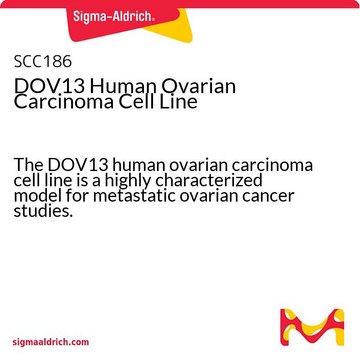 DOV13 Human Ovarian Carcinoma Cell Line The DOV13 human ovarian carcinoma cell line is a highly characterized model for metastatic ovarian cancer studies.