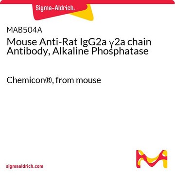 Mouse Anti-Rat IgG2a &#947;2a chain Antibody, Alkaline Phosphatase Chemicon&#174;, from mouse