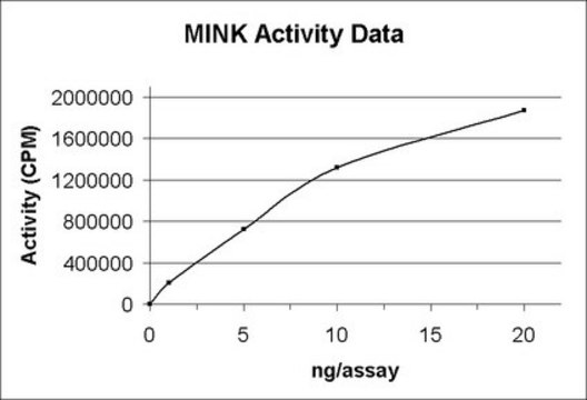 MINK Protein, active, 10 &#181;g Active, N-terminal His6-tagged, recombinant, human MINK amino acids 1-310, for use in Kinase Assays.