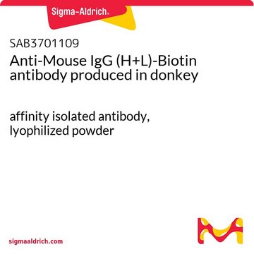 Anti-Mouse IgG (H+L)-Biotin antibody produced in donkey affinity isolated antibody, lyophilized powder