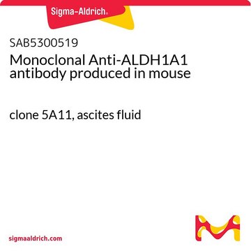 Monoclonal Anti-ALDH1A1 antibody produced in mouse clone 5A11, ascites fluid