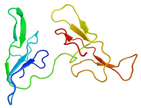 Protease and Phosphatase Inhibitor Cocktail