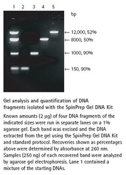 SpinPrep Gel DNA Kit Rapid, efficient extraction of DNA from agarose gels