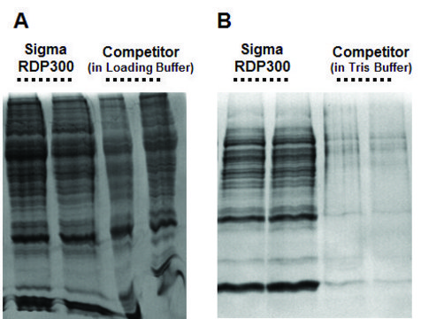 GenElute&#8482; Plus RNA/DNA/蛋白质纯化试剂盒