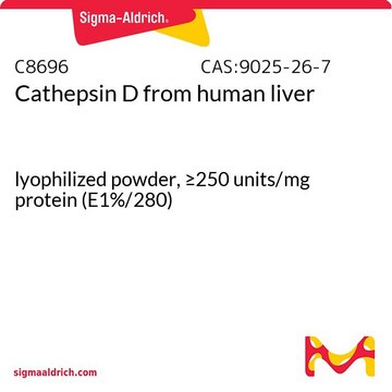 组织蛋白酶 D 来源于人类肝脏 lyophilized powder, &#8805;250&#160;units/mg protein (E1%/280)