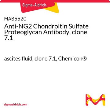 Anti-NG2 Chondroitin Sulfate Proteoglycan Antibody, clone 7.1 ascites fluid, clone 7.1, Chemicon&#174;