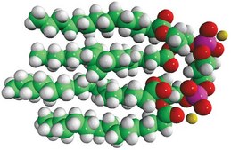 E. coli CA Avanti Research™ - A Croda Brand 841199C