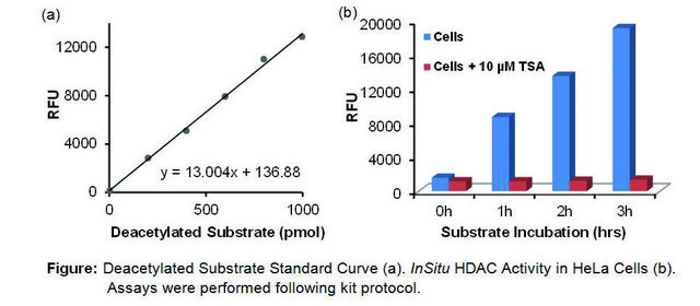 In Situ Histone Deacetylase (HDAC) Activity Fluorometric Assay Kit 100 assays in 96 well plates