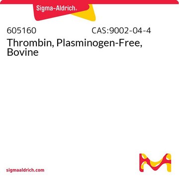 Thrombin, Plasminogen-Free, Bovine