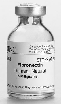 Corning&#174; Fibronectin from human, pack of 25&#160;mg (5 X 5 mg)