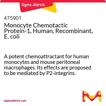 Monocyte Chemotactic Protein-1, Human, Recombinant, E. coli A potent chemoattractant for human monocytes and mouse peritoneal macrophages. Its effects are proposed to be mediated by P2-integrins.