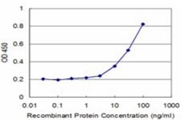 Monoclonal Anti-PCGF2 antibody produced in mouse clone 4D6, purified immunoglobulin, buffered aqueous solution