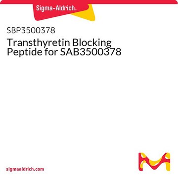 Transthyretin Blocking Peptide for SAB3500378