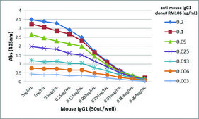 Anti-Mouse IgG1-Biotin antibody, Rabbit monoclonal recombinant, expressed in HEK 293 cells, clone RM106, purified immunoglobulin