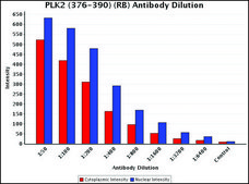 Anti-PLK2 (376-390) antibody produced in rabbit IgG fraction of antiserum, buffered aqueous solution