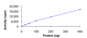 CASK, active, GST tagged human PRECISIO®, recombinant, expressed in baculovirus infected Sf9 cells, ≥70% (SDS-PAGE), buffered aqueous glycerol solution