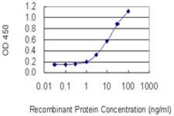 Monoclonal Anti-MARCH3 antibody produced in mouse clone 1F6, purified immunoglobulin, buffered aqueous solution