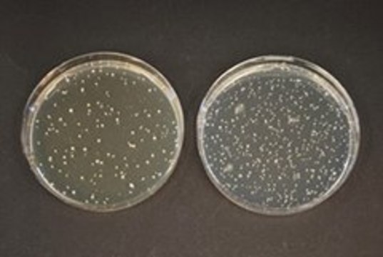 TOS-propionate agar medium (acc. ISO) suitable for microbiology, NutriSelect&#174; Plus