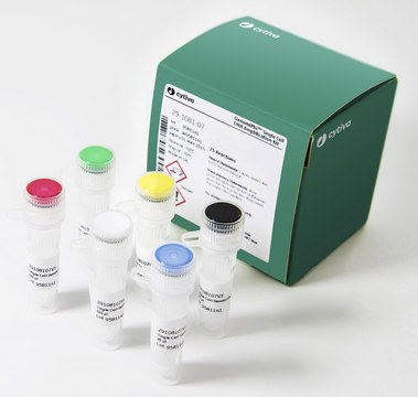 illustra&#8482; Single Cell GenomiPhi&#8482; DNA Amplification Kit Cytiva 29-1081-07, sufficient for 25&#160;reactions sufficient, storage temp.:-70°C