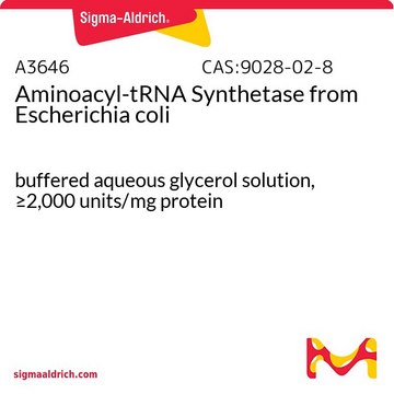 氨酰基tRNA合成酶 来源于大肠杆菌 buffered aqueous glycerol solution, &#8805;2,000&#160;units/mg protein