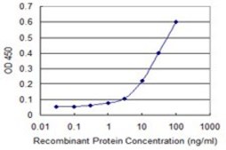 Monoclonal Anti-MERTK antibody produced in mouse clone 2D2, purified immunoglobulin, buffered aqueous solution