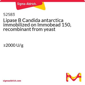 南极假丝酵母脂肪酶, 重组, 固定在 Immobead 150 上 来源于酵母 &#8805;2000&#160;U/g