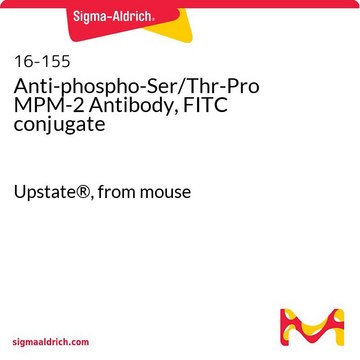 Anti-phospho-Ser/Thr-Pro MPM-2 Antibody, FITC conjugate Upstate&#174;, from mouse