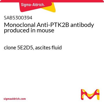 Monoclonal Anti-PTK2B antibody produced in mouse clone 5E2D5, ascites fluid