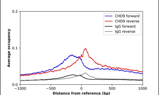 Anti-CHD9 antibody produced in rabbit Prestige Antibodies® Powered by Atlas Antibodies, affinity isolated antibody, buffered aqueous glycerol solution