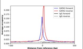 Monoclonal Anti-GATA3 antibody produced in mouse Prestige Antibodies® Powered by Atlas Antibodies, clone CL8660, purified immunoglobulin, buffered aqueous glycerol solution