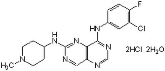 EGFR Inhibitor II, BIBX1382 The EGFR Inhibitor II, BIBX1382, also referenced under CAS 196612-93-8, controls the biological activity of EGFR. This small molecule/inhibitor is primarily used for Phosphorylation &amp; Dephosphorylation applications.