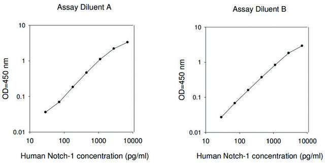 人 Notch-1 ELISA 试剂盒 for serum, plasma, cell culture supernatants and urine