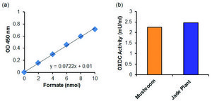 Oxalate Decarboxylase Activity Assay Kit Sufficient for 100 Colorimetric tests