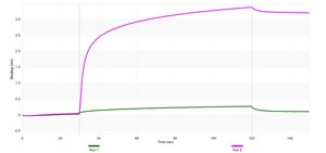 Anti-PHACTR1 Antibody, clone 2B15 ZooMAb® Rabbit Monoclonal recombinant, expressed in HEK 293 cells