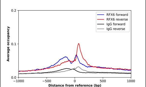 Anti-RFX6 antibody produced in rabbit Prestige Antibodies® Powered by Atlas Antibodies, affinity isolated antibody, buffered aqueous glycerol solution